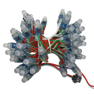 Dây led 50 bóng full color 1903 5VDC